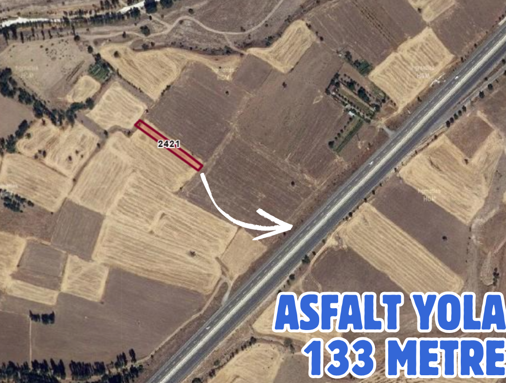KONYA SEYDİŞEHİR ÇAVUŞ 652 M² TARLA SATILIKTIR - KONYA SEYDİŞEHİR fotoğraf 3